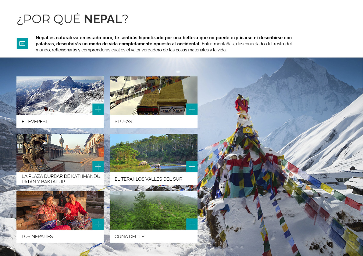 eMagazine Quelónea.Subcontinente Indio