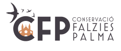 Conservación Falzies Palma. Indesigners